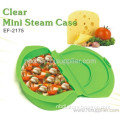 Clear Mini Steam Case 